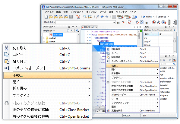  oXygen XML Editor in               Japanese