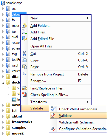 XML Validation and Well-Formedness Check - oXygen XML editor