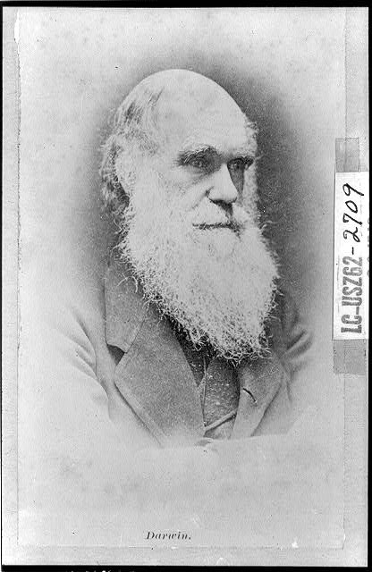 Photo of Charles Darwin: Library of Congress, Prints & Photographs Division, [reproduction number, LC-USZ61-104]