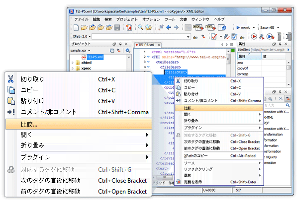 oXygen XML Editor in               Japanese