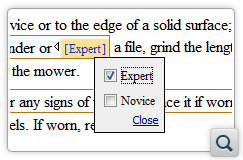 Customizable Profiling Attributes Rendering