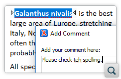 Automatic Spell Checking in Review Comments