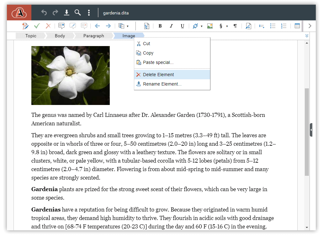 oxygen xml editor 20.1 crack oxygen xml editor 20.1 crack
