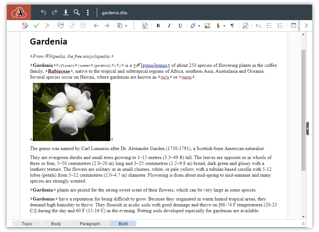 oxygen xml editor 20.1 download oxygen xml editor 20.1 download