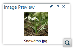 Improvements to the Image Preview Feature