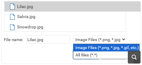 Context-Based File Browsing Filter