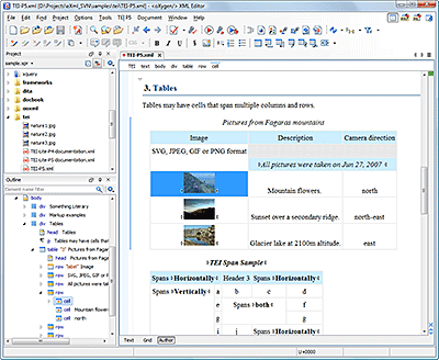 WYSIWYG XML Editor